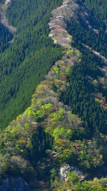 奈良県　ナメゴ谷　その景色は登り龍に例えられる