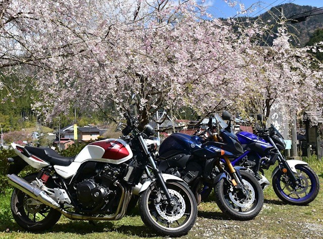 美山の桜とバイクたち　Nikon D7200
