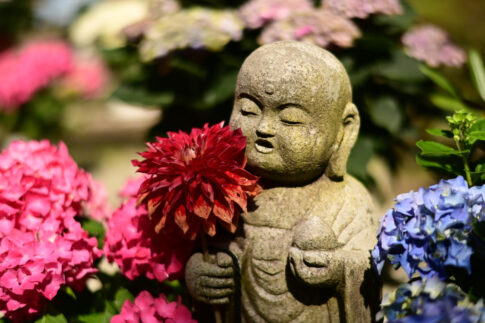 自分の手で花を触れるお地蔵さま in 岡寺　 NikonD780 AF-S NIKKOR 24-70mm f/2.8E
