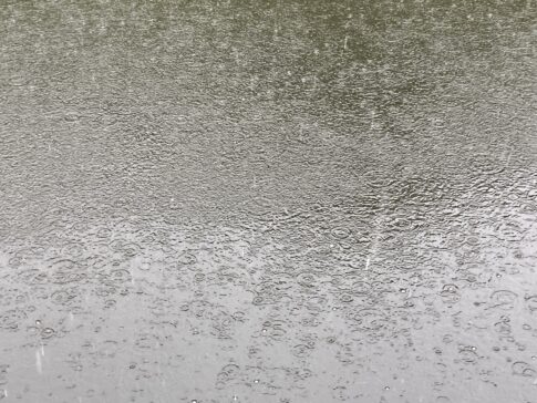 勝竜寺の池の雨模様
