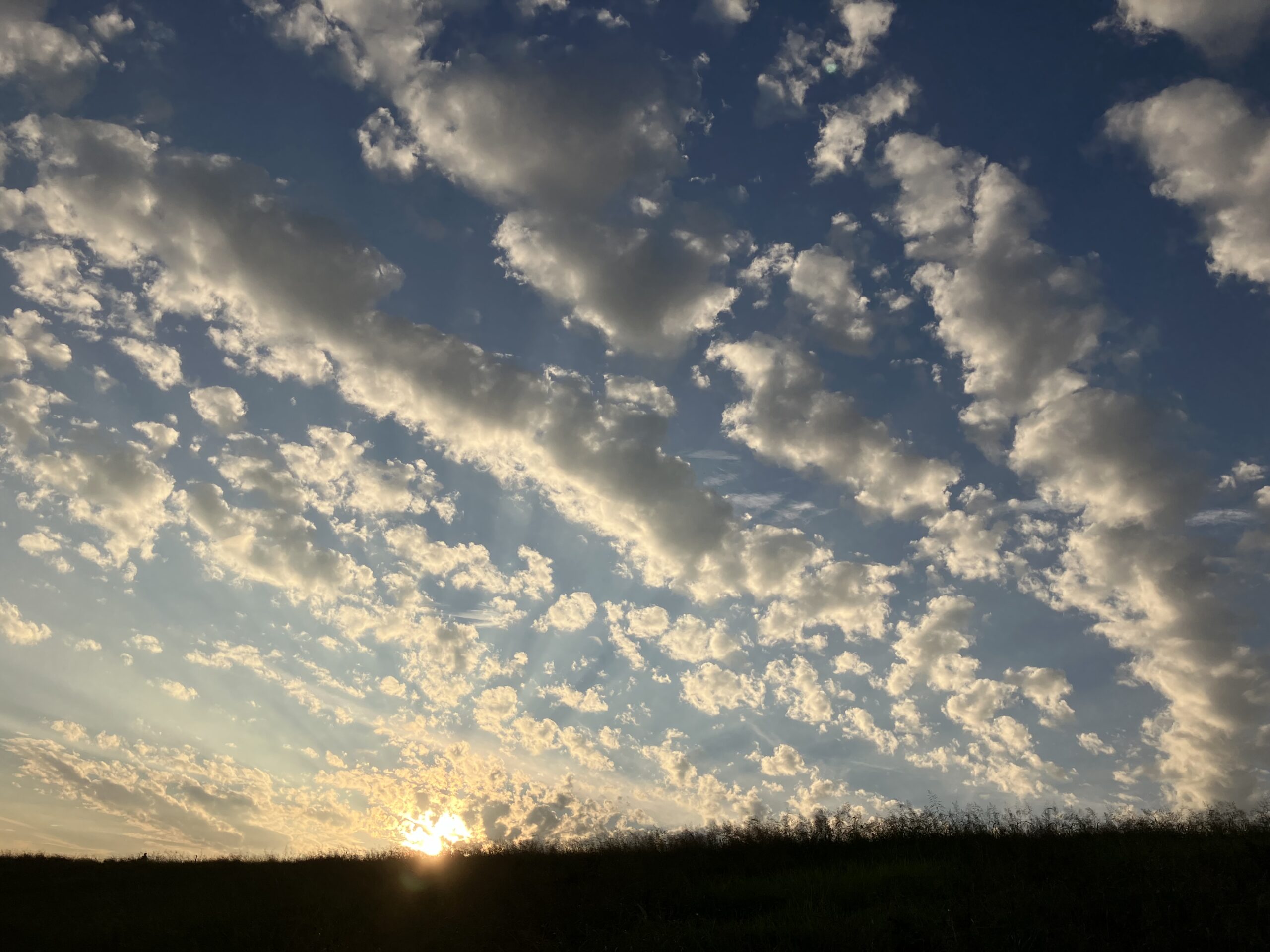 淀川の夕焼けと秋の雲