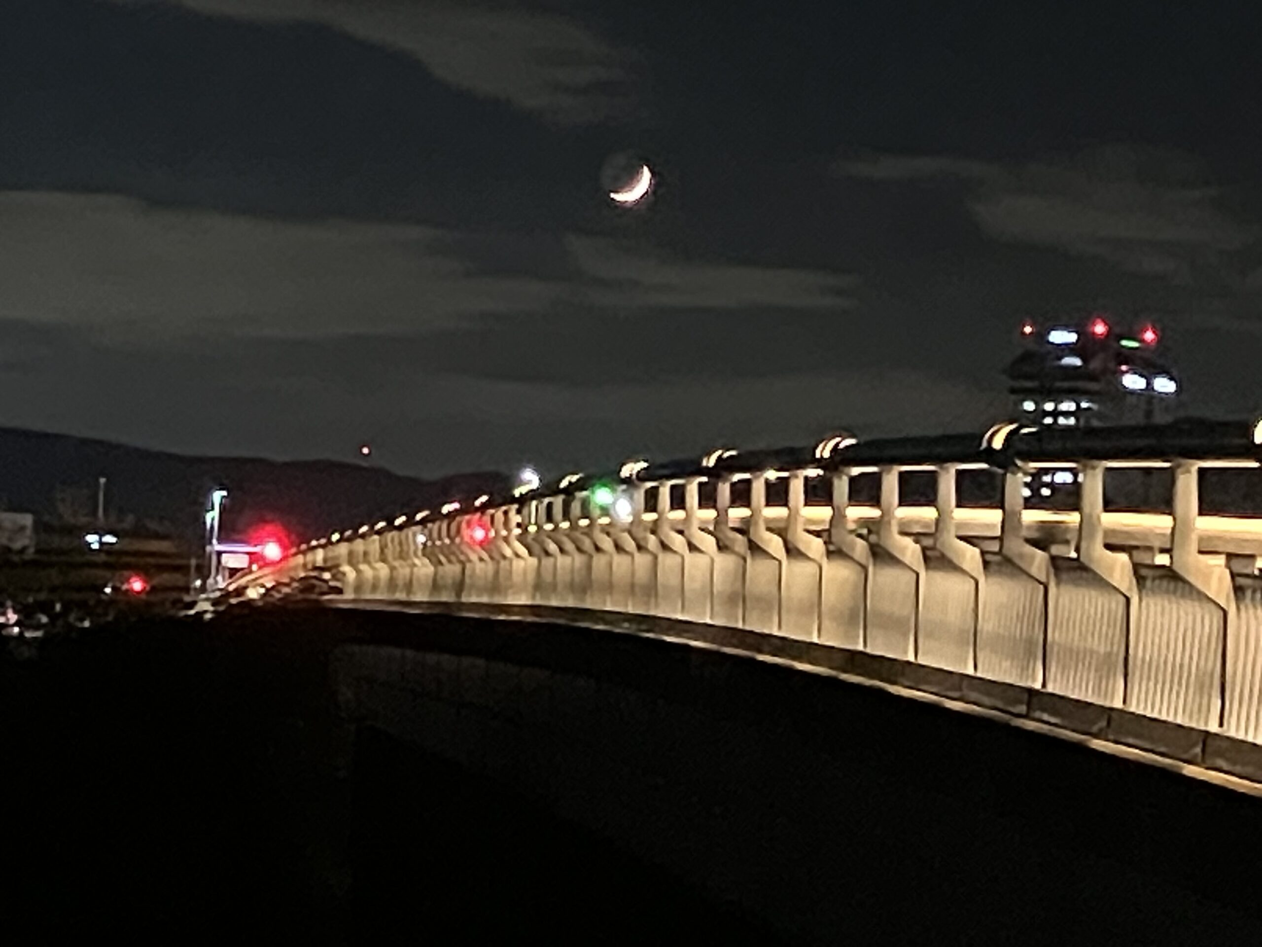 冬の夜、月に照らされた橋を渡る