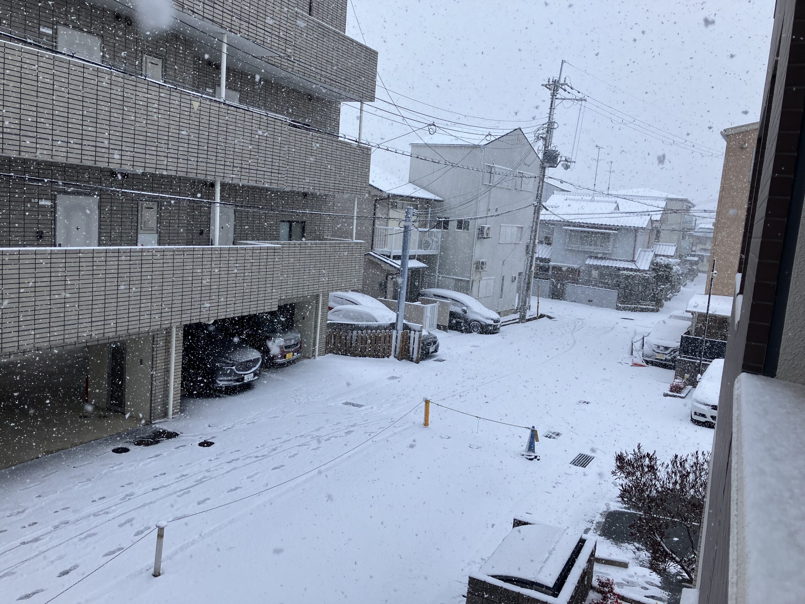 朝、雪が積もった