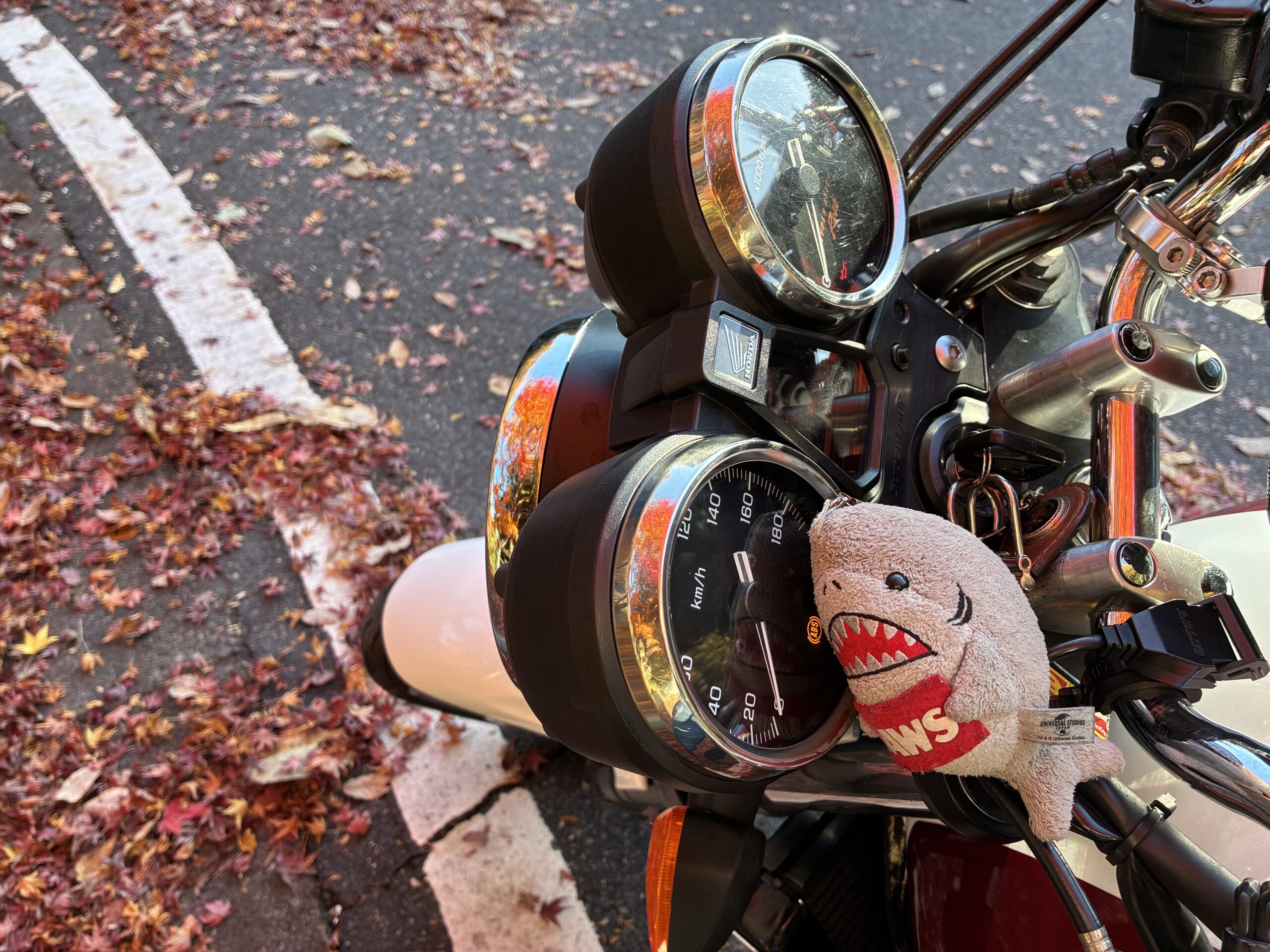 鮫ちゃん「がるるるうー」