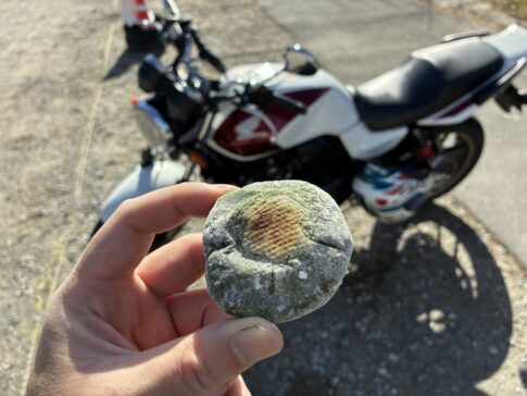 CBを眺めながら草餅を食う！