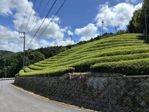 真夏の風景を探しに